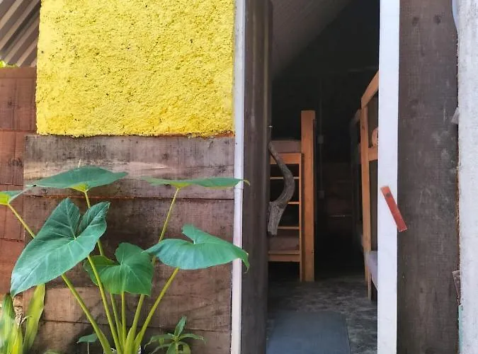 Hostal Tulum Gasthof